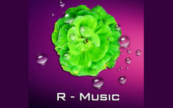 Ứng dụng nhạc thiền tĩnh tâm mix âm thanh tự nhiên R music