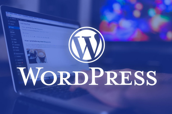 Hướng dẫn xây dựng Website bằng Wordpress cho người mới