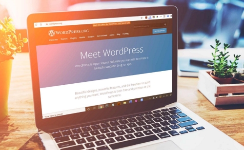 Hướng dẫn xây dựng Website bằng Wordpress cho người mới